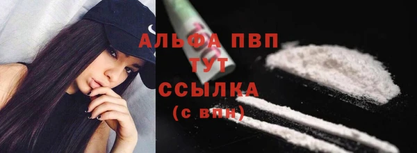 дурь Бородино