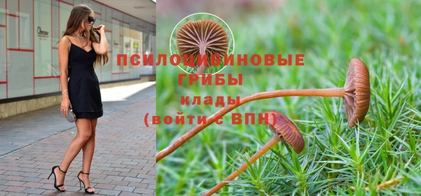 ешки Беломорск