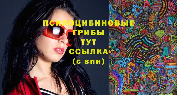 дурь Бородино