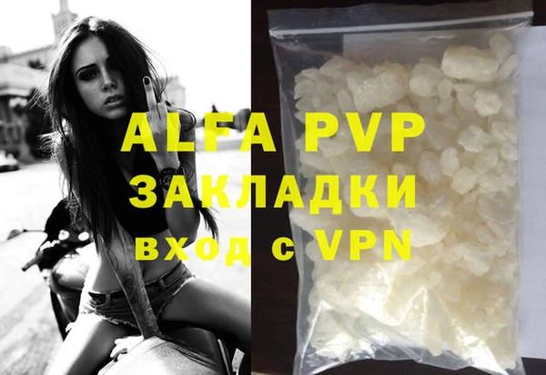 спиды Богданович