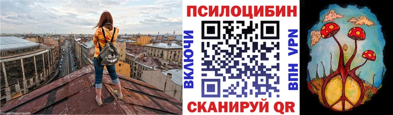 hydra маркетплейс  хочу наркоту  Волосово  Псилоцибиновые грибы ЛСД 
